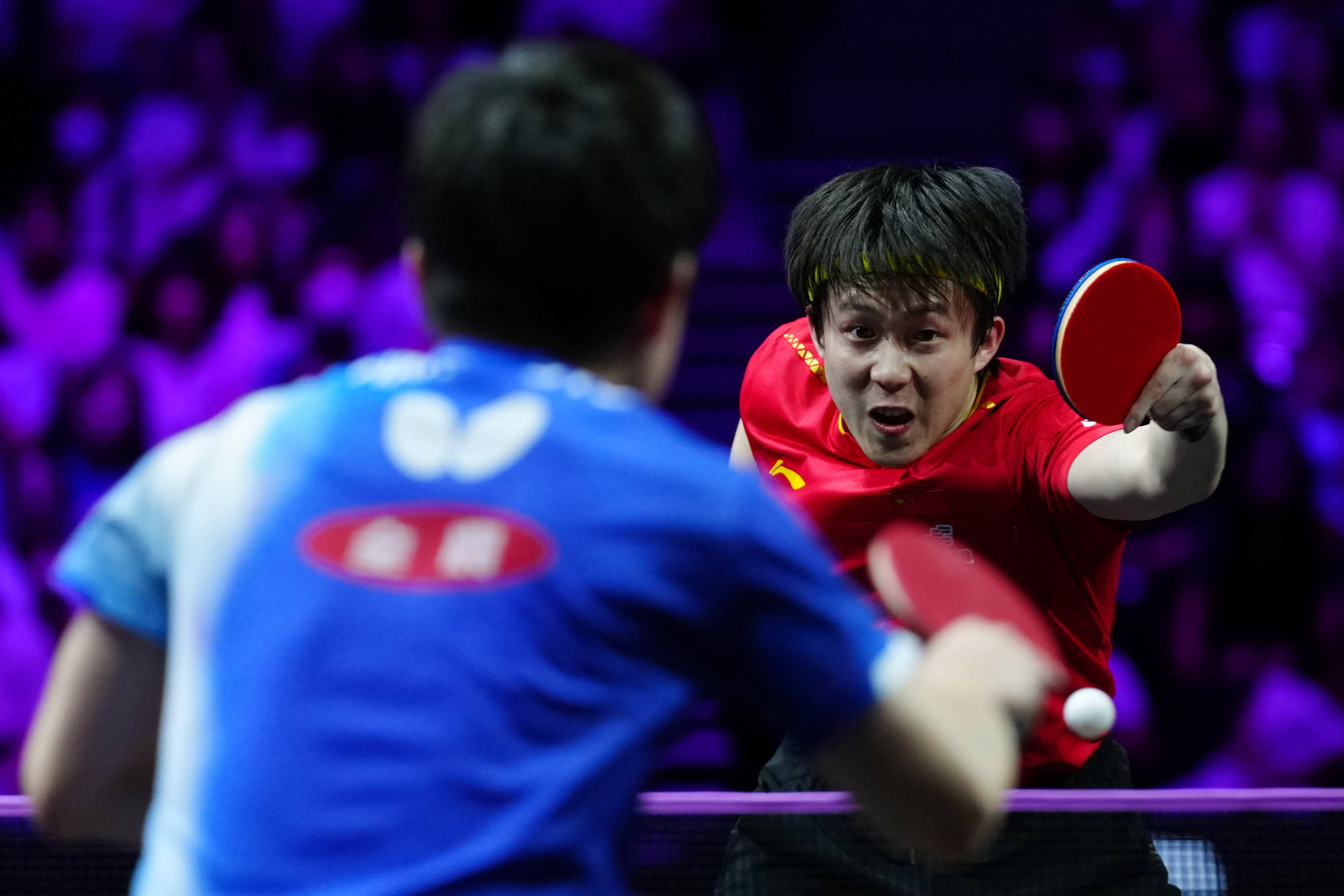 波兰乒乓球队鏖战韩国乒乓球队，张本智和统治全场的简单介绍